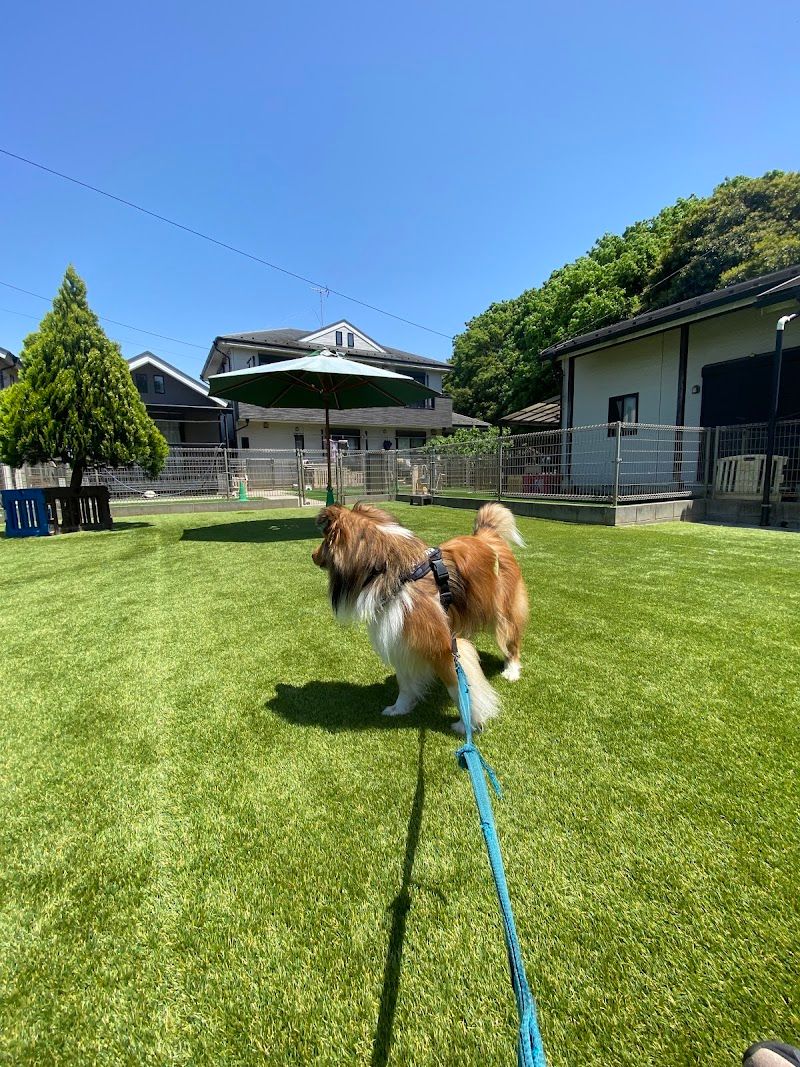 かわいい子犬屋さんの写真 1