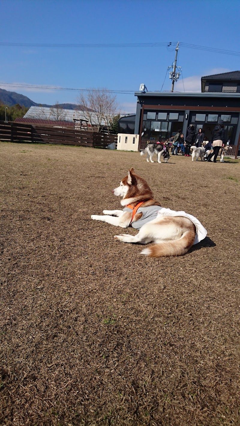 DOG RUN An.kareの写真 2