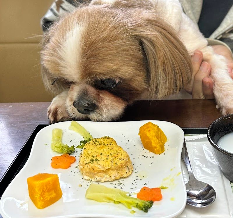 Dog cafe Daijoubuの写真 3