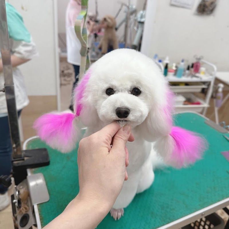 トリミングサロンＰＡＷＰＡＷの写真 2