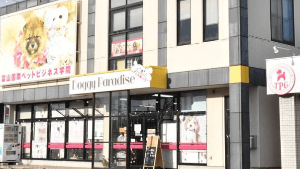 Doggy Paradise ドギーパラダイスの写真 1