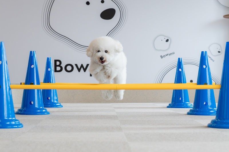 複合型ドッグパーク Bowmu（バウム）の写真 3