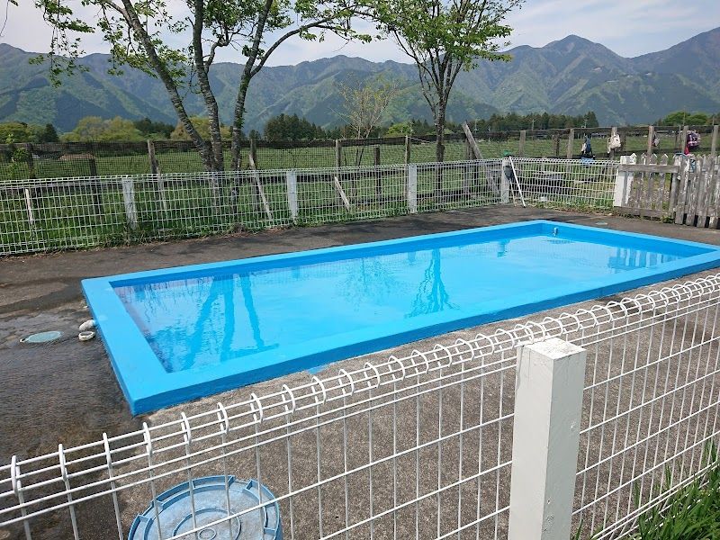 Field Dogs Gardenの写真 3