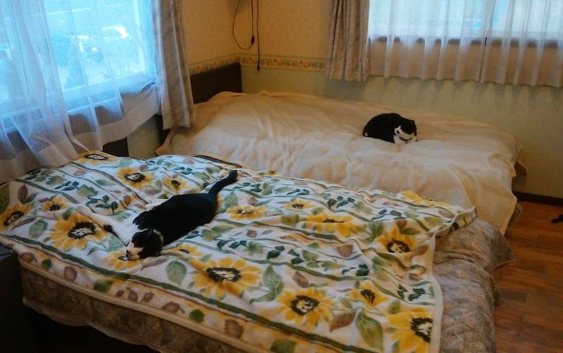 陽だまりの写真 2
