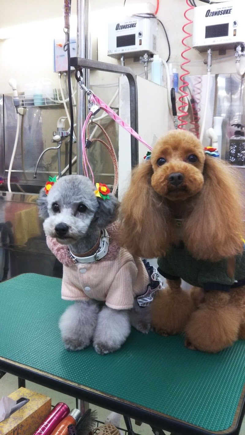 サンペット八戸沼館店の写真 2