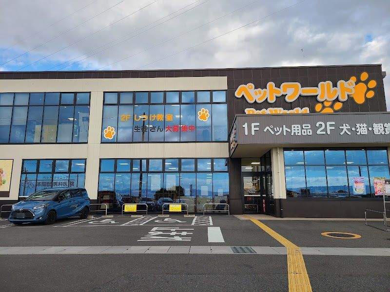 ディスワン稲沢平和店の写真 1