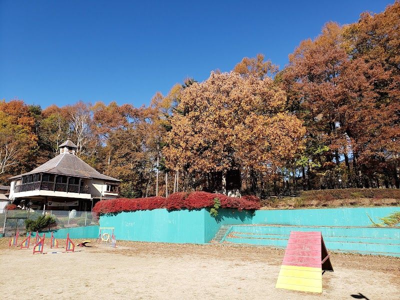 わんわんパラダイス 八ヶ岳（旧：八ヶ岳わんわんパラダイスコテージ）の写真 3