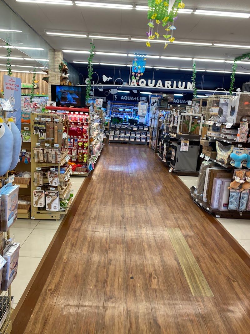 ペットワールド アミーゴ 一関店の写真 3