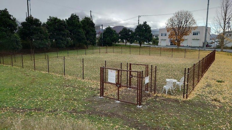 卸売市場西緑地 ドッグランの写真 2
