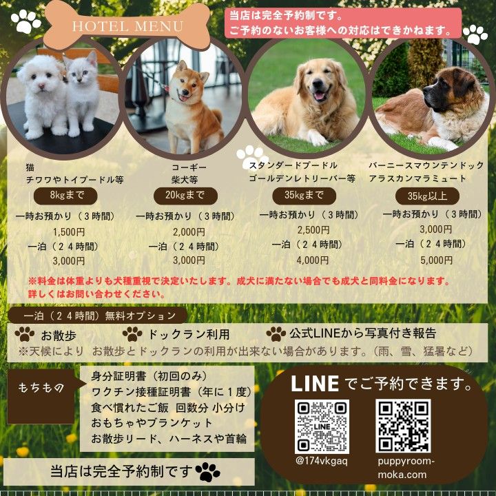 ぱぴーるーむの写真 2