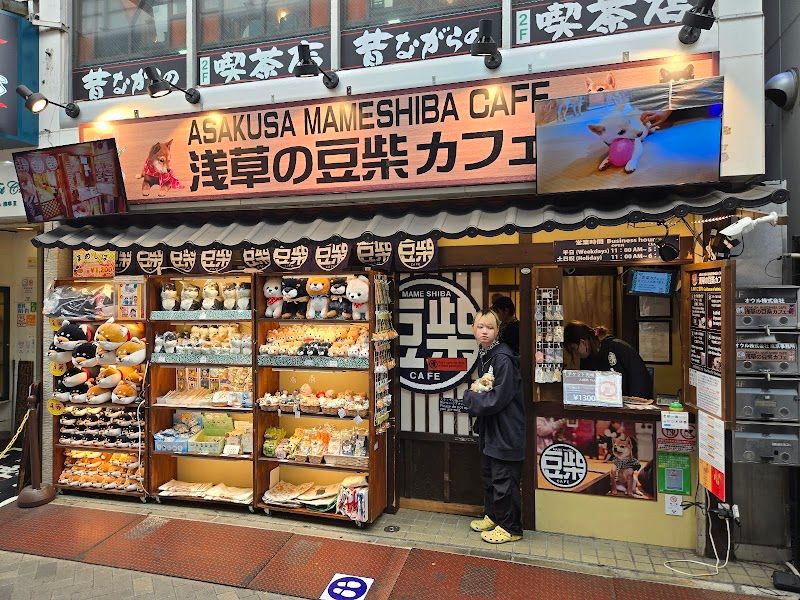 浅草の豆柴カフェの写真 1