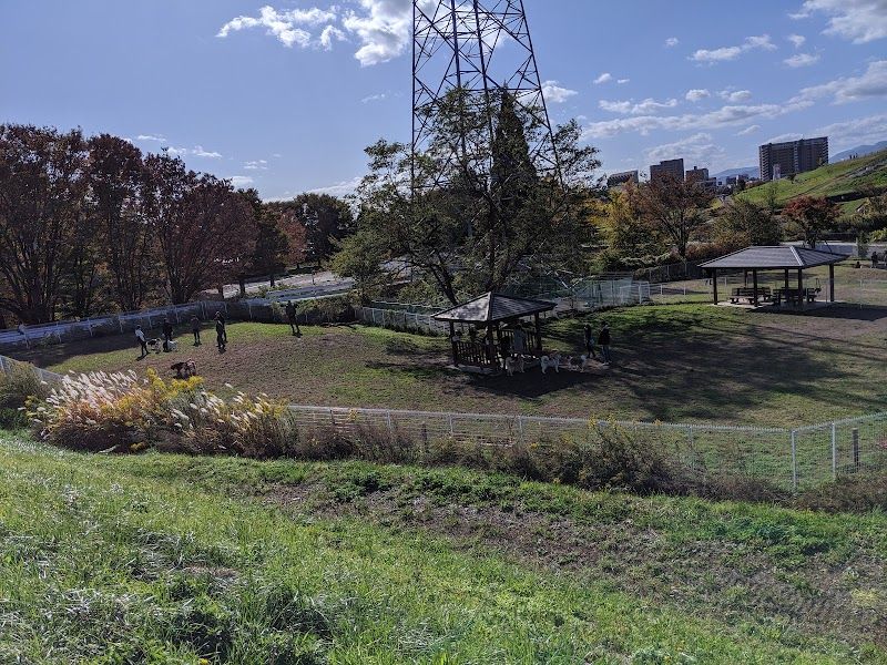 盛岡市中央公園ドッグランの写真 3