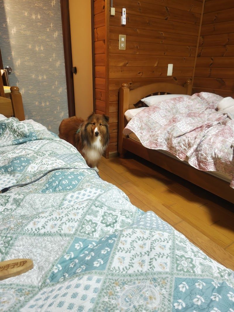 ペンションシェルティの写真 2