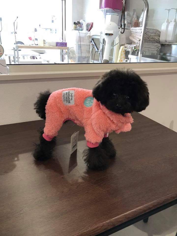 フロムエース本店の写真 2