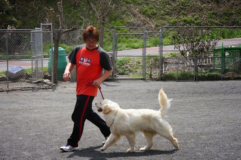 仙台第一警察犬訓練所の写真 3