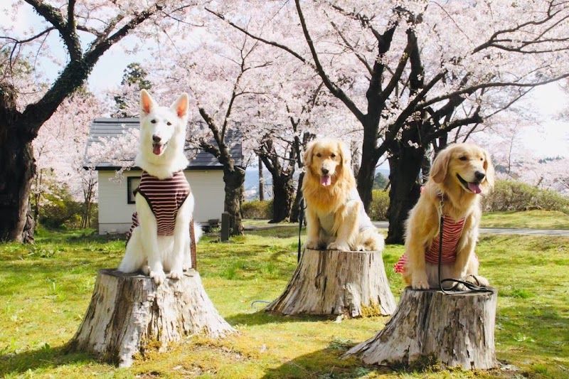 外山旅館の写真 1