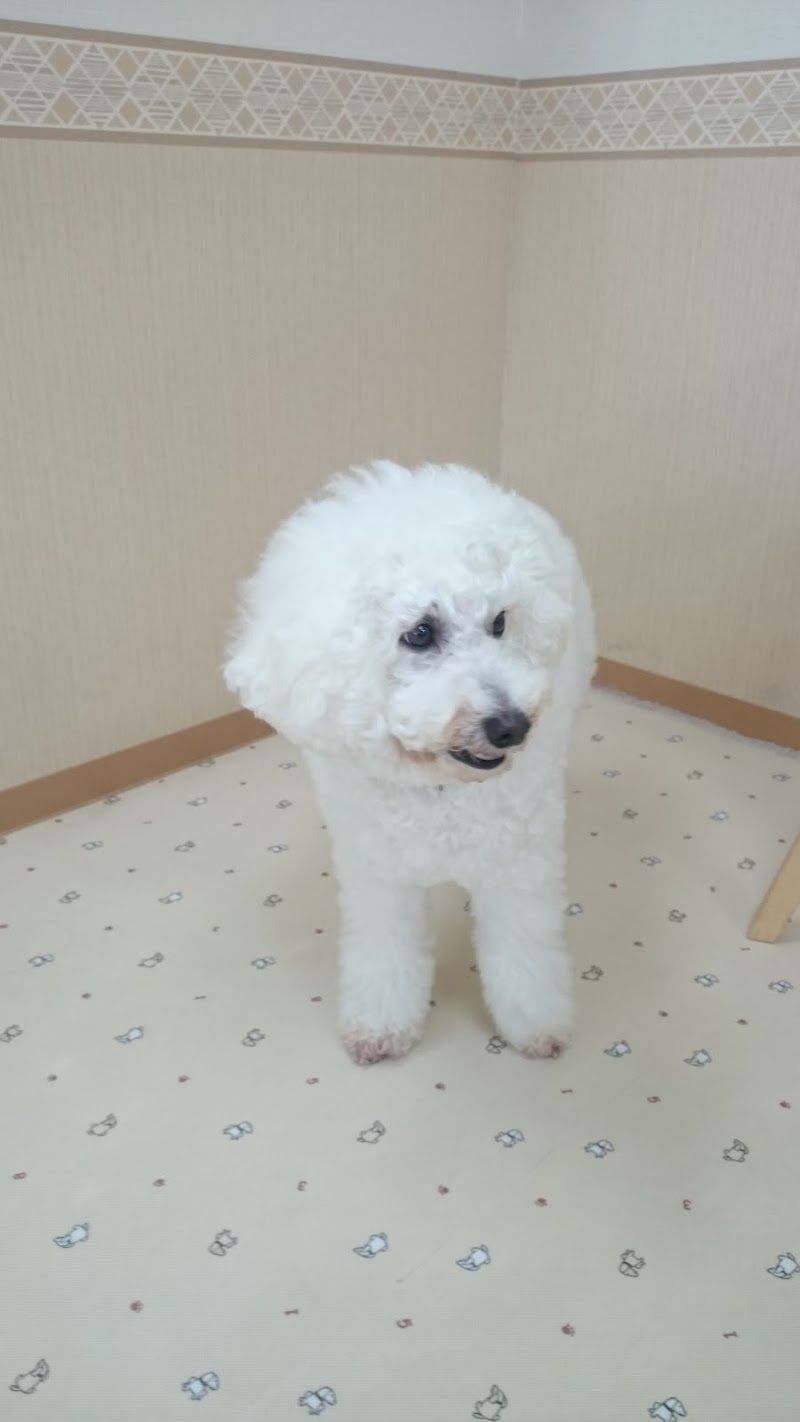 ＷＡＮＤＲＹの写真 2