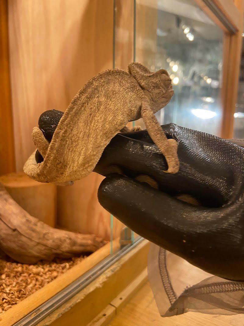 ふれあいあにまるぱーくPETSHOP RICKYの写真 3