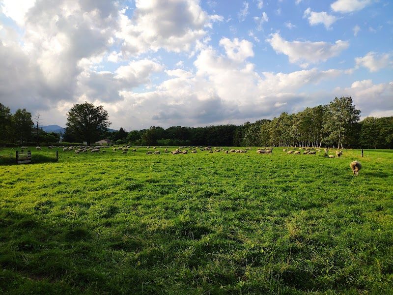 YORKSHIRE FARMの写真 3