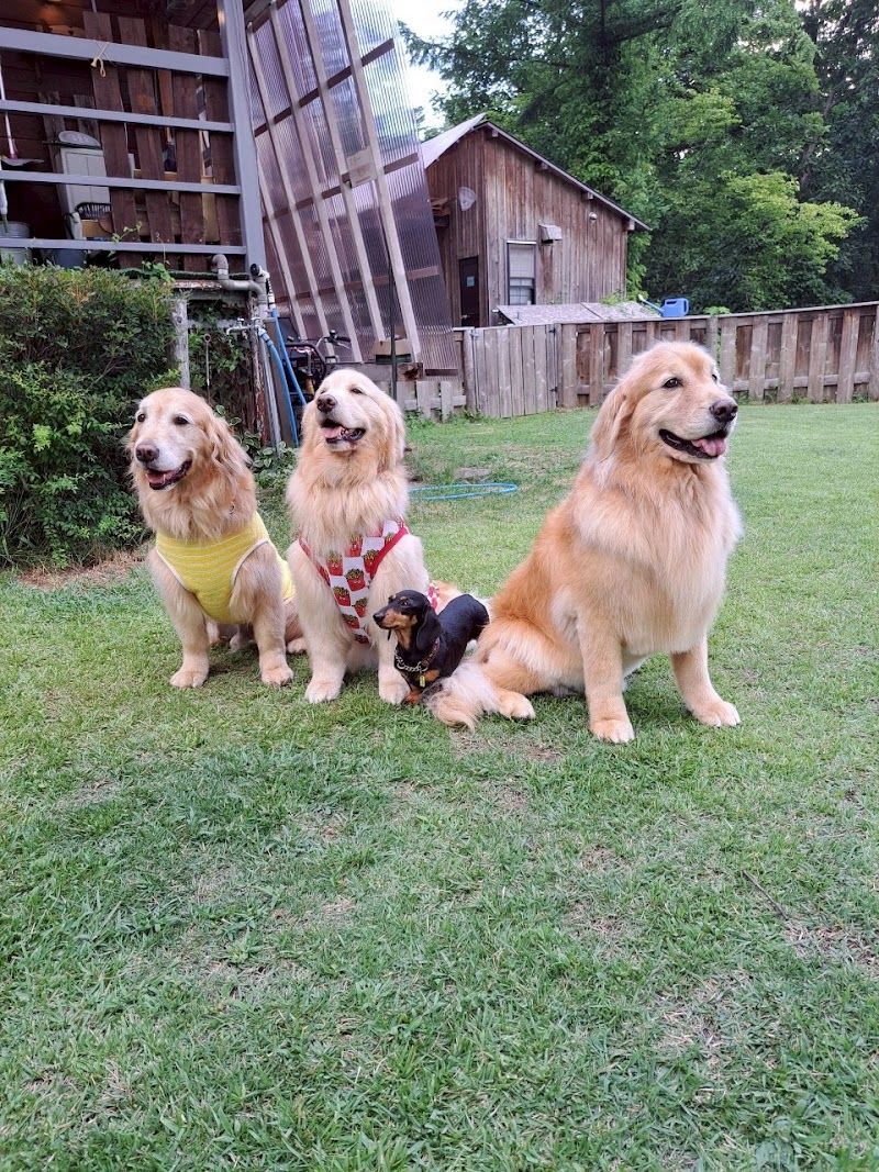 Romperdog Run&Siteの写真 2