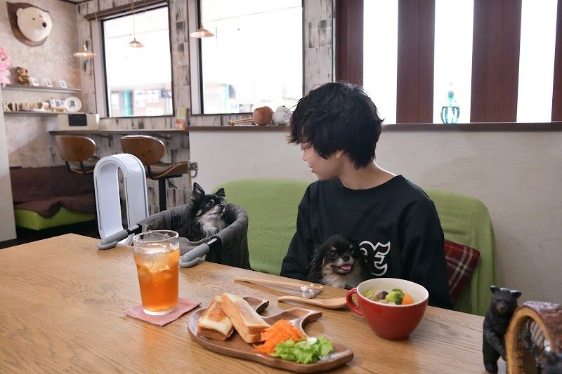 REST1020の写真 3