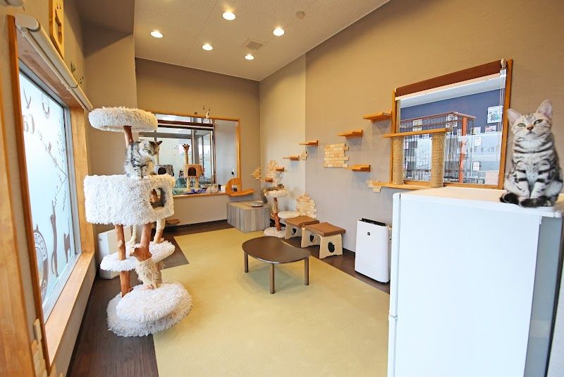ペットショップCoo&RIKU 岩手盛岡店の写真 2