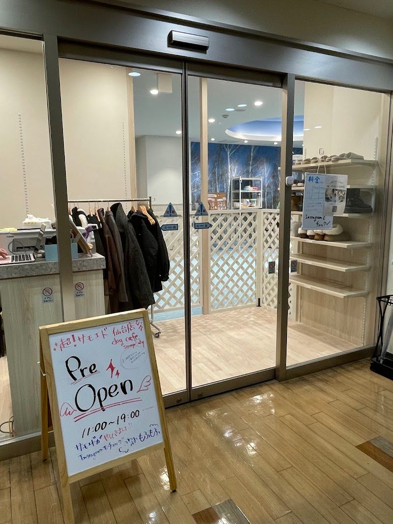 サモエドカフェ アル 仙台店の写真 1