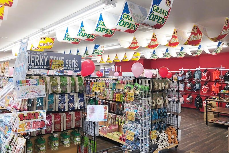 ペットショップCoo&RIKU 札幌西店の写真 2