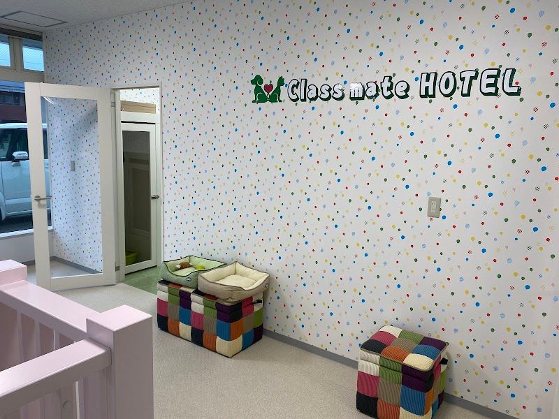 いぬねこの家 クラスメイト 保戸野店の写真 2