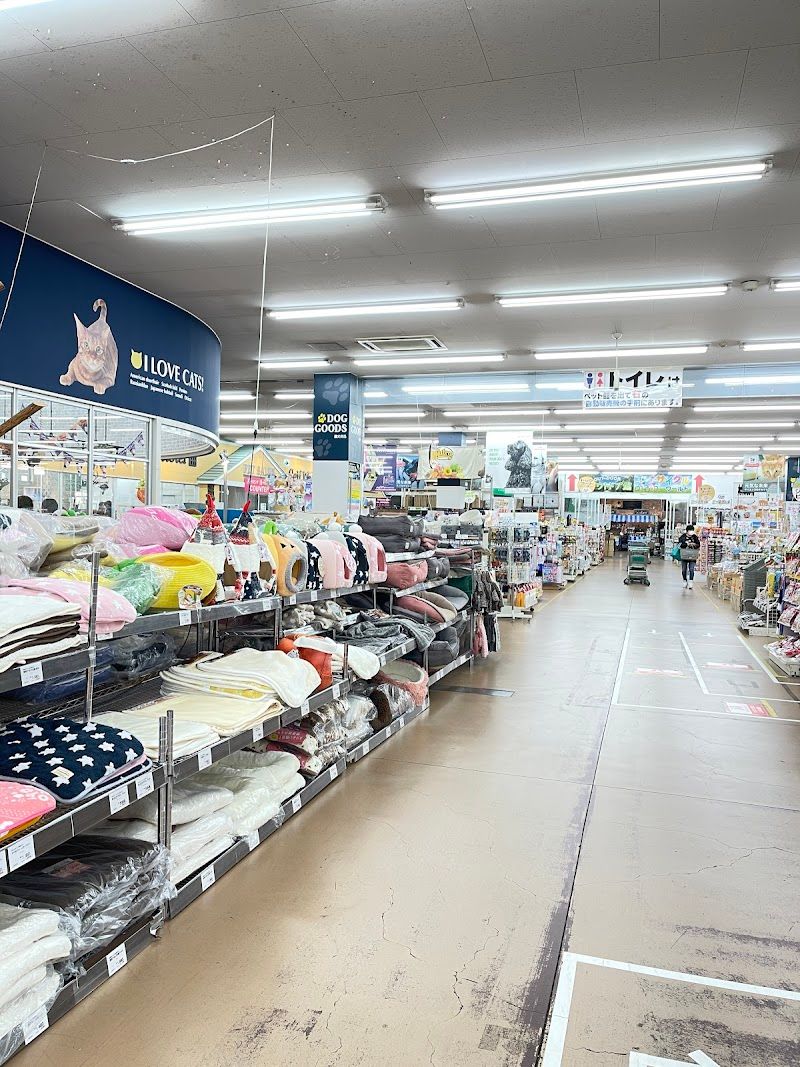 ジョイフルエーケー屯田店 ペットワールドの写真 2