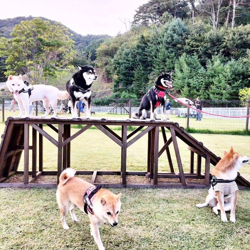 DOG RUN シーガルパークの写真 1