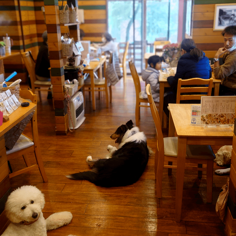 Cafe Maeraの写真 1