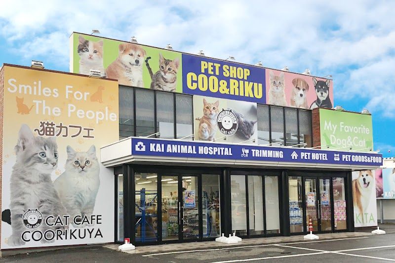 ペットショップCoo&RIKU 秋田店の写真 1
