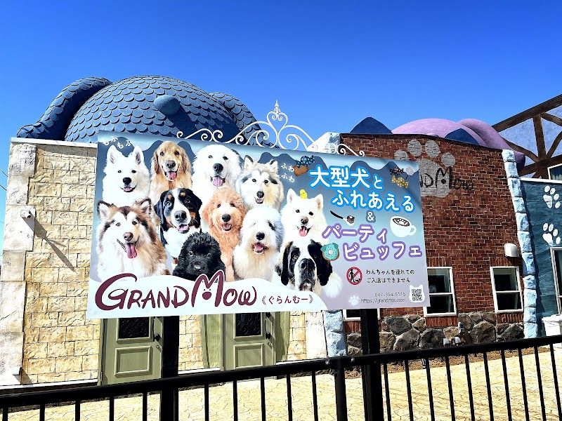 大型犬カフェ&ビュッフェ GRAND MOU《ぐらんむー》の写真 1