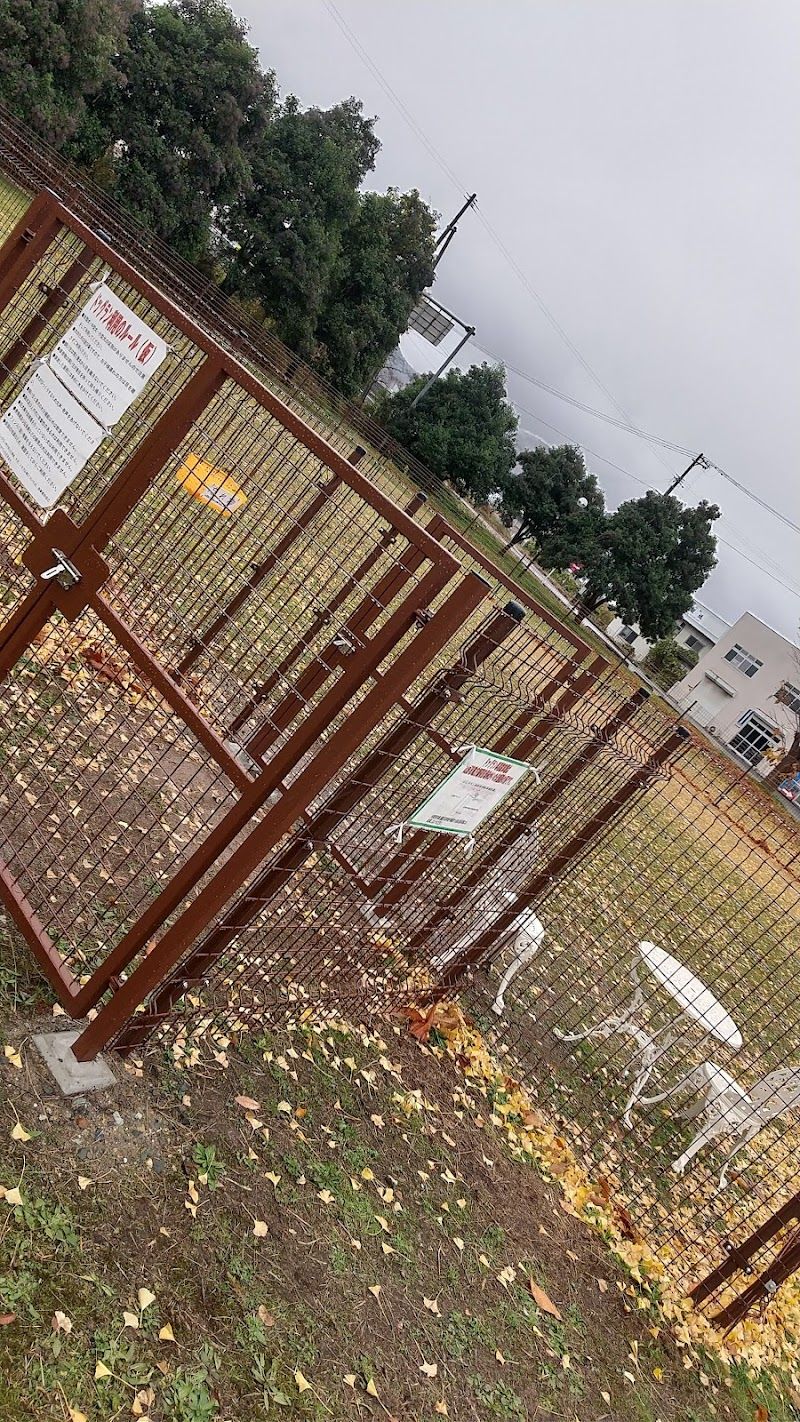 卸売市場西緑地 ドッグランの写真 3