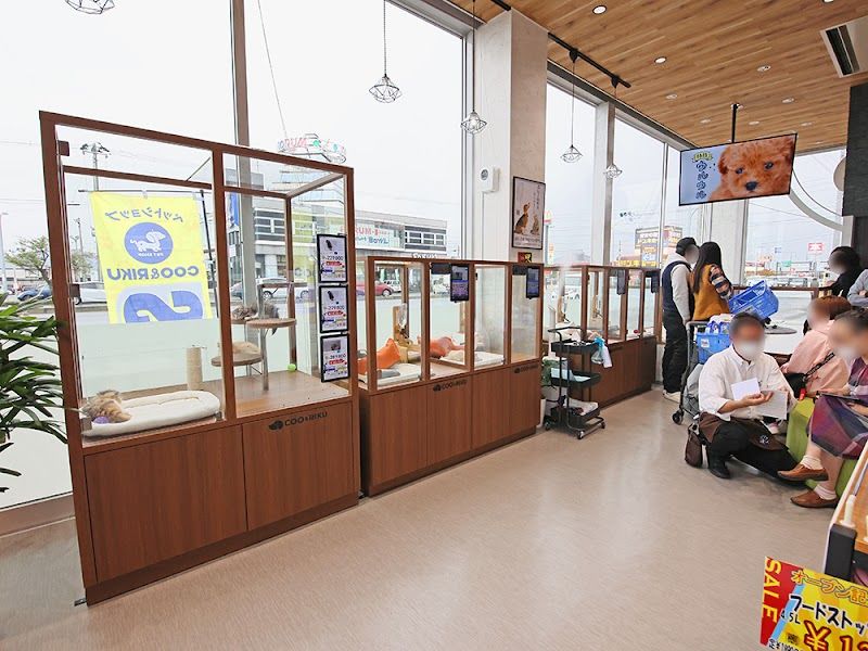 ペットショップCoo&RIKU 弘前店の写真 2