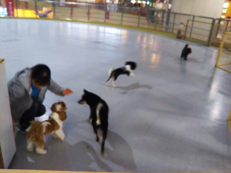 どうぶつClubサンロード1Fの写真 2