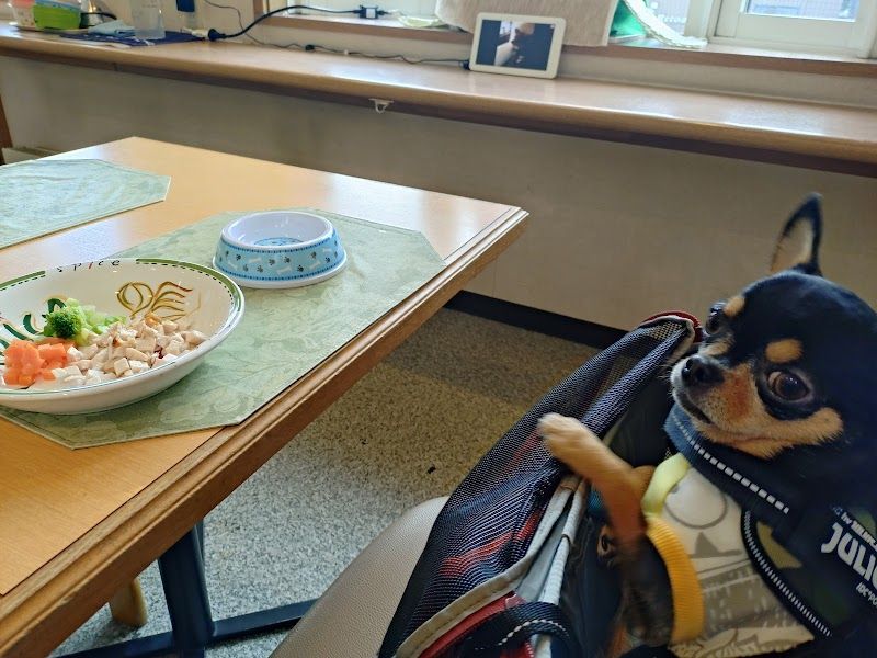 レストラワンの写真 2