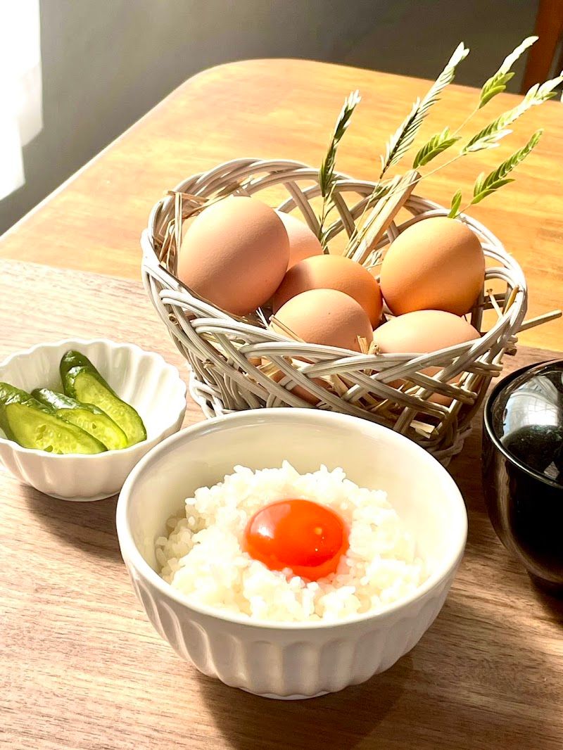 ドッグラン&カフェ BLESSの写真 2