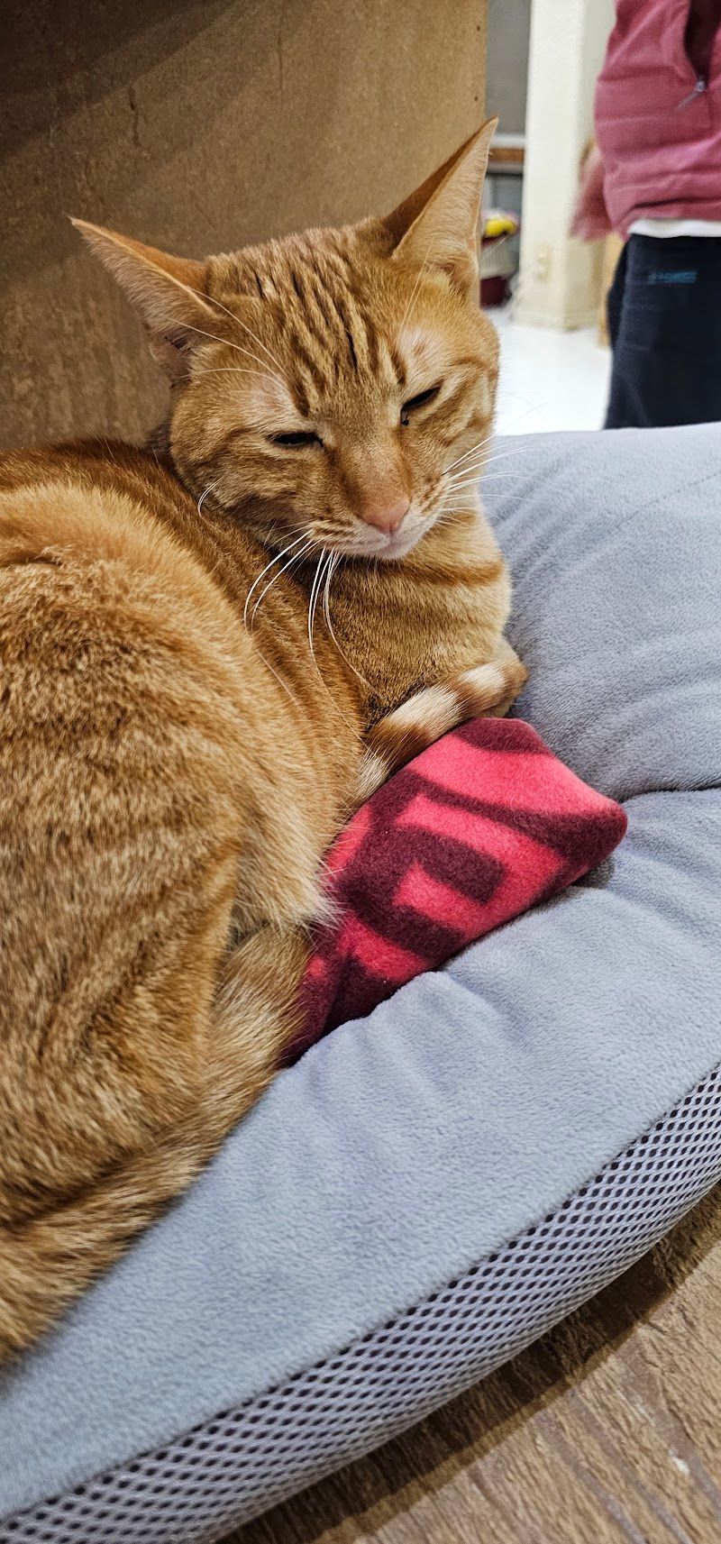 ペットの里の写真 2