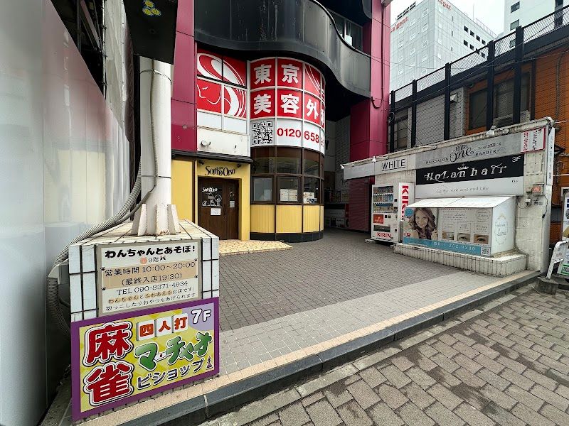 わんちゃんとあそぼ！の写真 1
