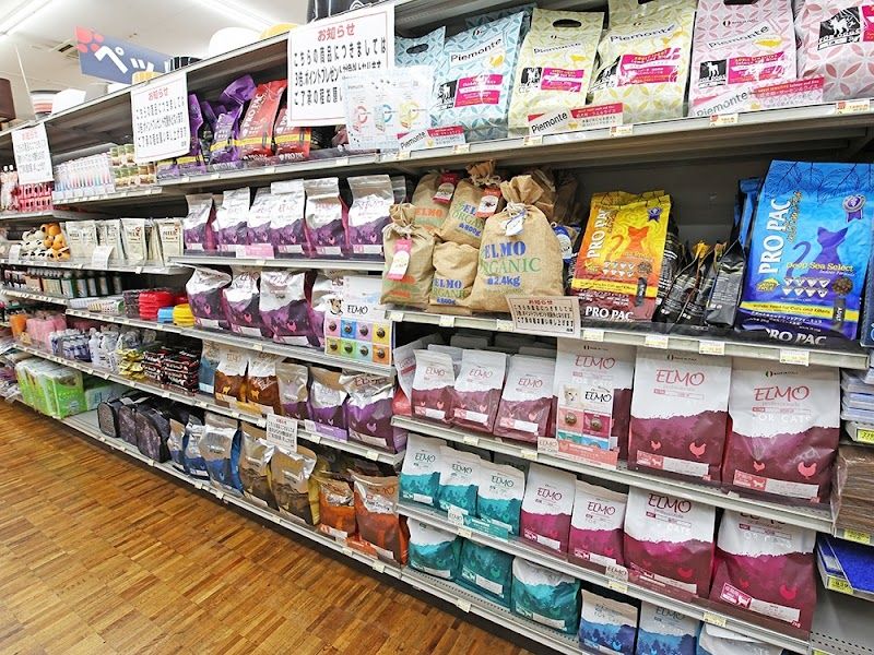 ペットショップCoo&RIKU アヤハディオ水口店の写真 3