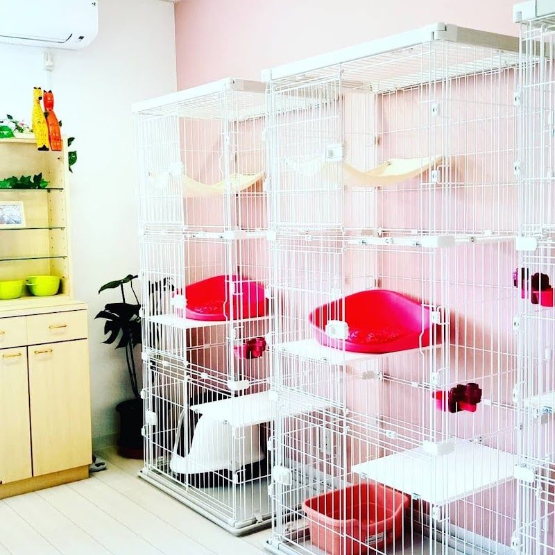 Dog Cat Café＆Shop パウの写真 3