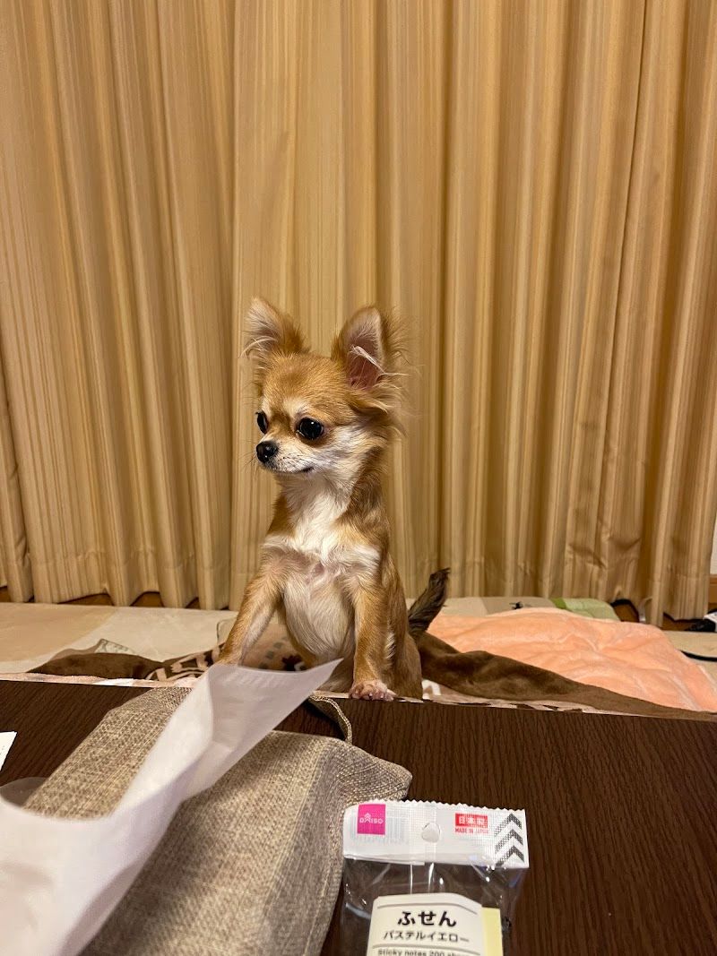 株式会社ワンズクラブ富山 アルプラザ小杉店の写真 2