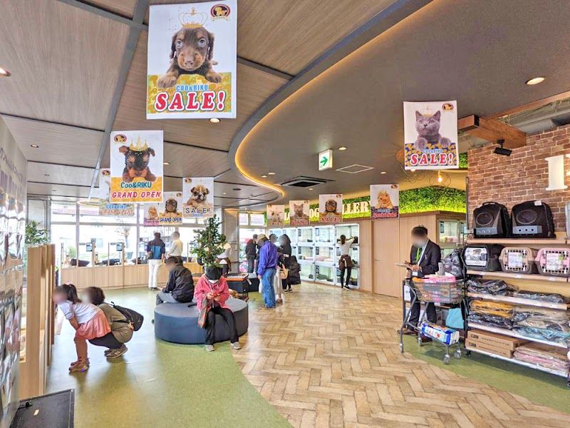 ペットショップCoo&RIKU 札幌東店の写真 2