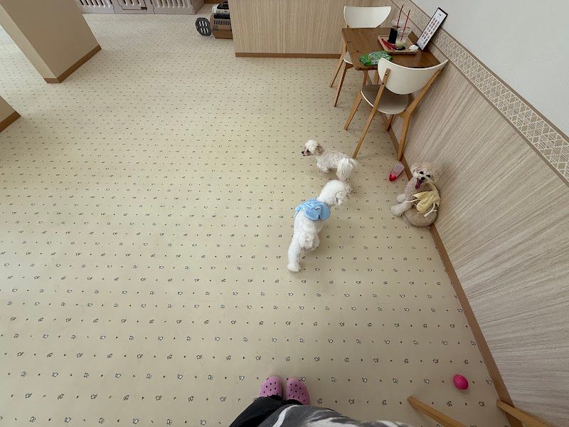 ＷＡＮＤＲＹの写真 1