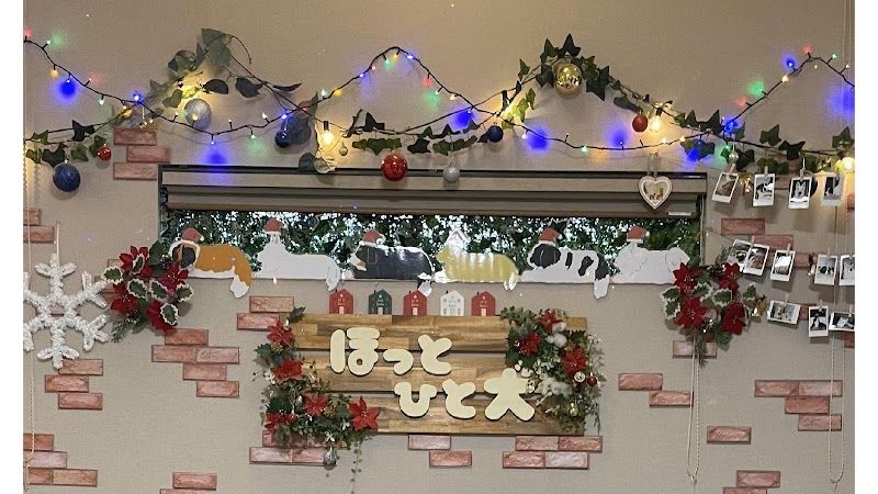 大型犬カフェ ほっとひと犬の写真 1
