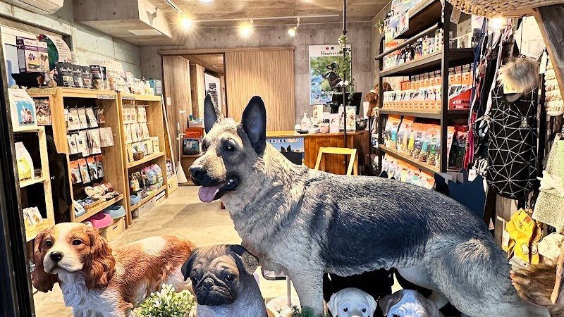 ペットケアセンターFluffy Dog & Cat「犬もふ 猫もふ」の写真 2