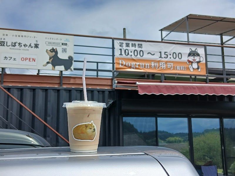 豆柴ちゃん家の写真 3