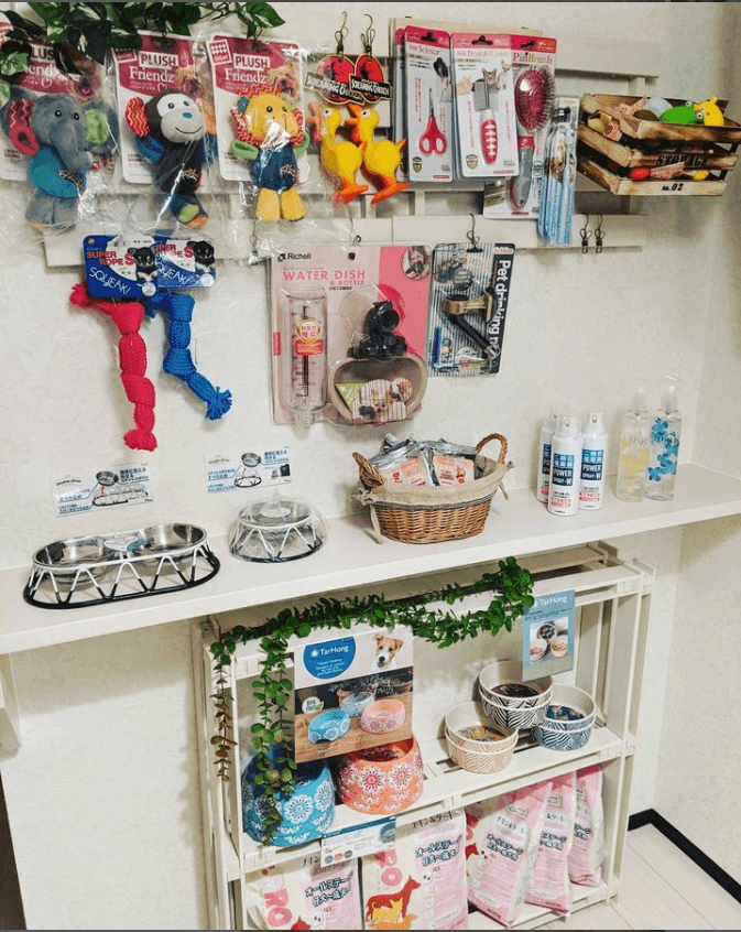 Puffy Puppy 仔犬販売 平野ブリーダーの写真 2